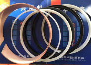 液压密封件1